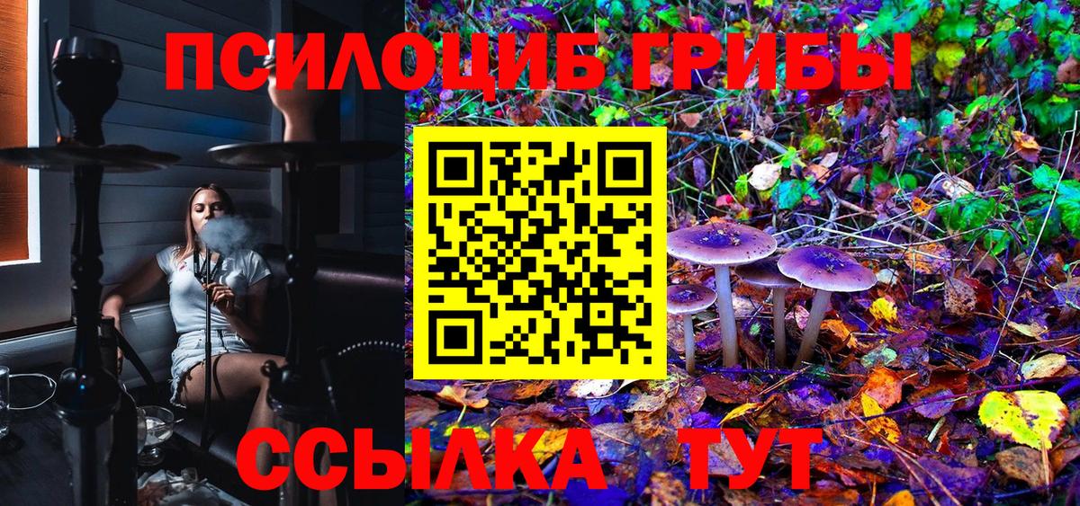 Псилоцибиновые грибы Psilocybe Севастополь